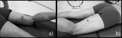 Sprint Specificity of Isolated Hamstring-Strengthening Exercises in Terms of Muscle Activity and Force Production